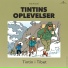Tintin