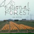 National Forest