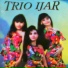Trio Ijar