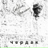 Гибкий Чаплинъ