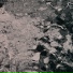 NX1