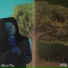 Charlie Trees