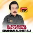 Shaman Ali Merali
