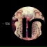 Fancy Inc