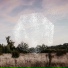 Bernhard Eder feat. Petra Staduan