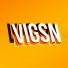 ViGSN