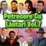 Petrecere Cu Lăutari