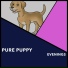 Dogs Music Therapy, Dog's Music, Zen Dog