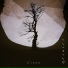 Cinna