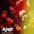 Rine