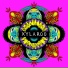 Xylaroo