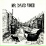Mr. David Viner