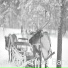 Lofi Christmas Band