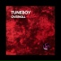 Tuneboy