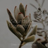 Zarobi, Meditation Awareness, Studying Music