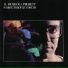 Al Di Meola (Soaring Through a Dream 1985)