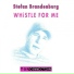 Stefan Brandenburg