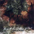 05 - From A Second Story Window (2006 - Delenda)