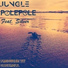 Jungle ZM feat. Silver