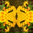 Iskia