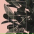 SVIN