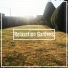 Soothing Nature Recordings