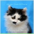 Calming Cat Music