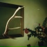 Loops Haunt