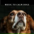 Calming Dog Chillout