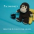 PACOMONKEY