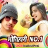 Awadhesh Premi