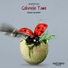 Gabriele Toma