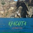 Две бутылки водки