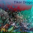 Tikor Drogo