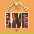 Stevie Wonder