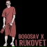 Bogosav X