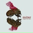 Miter