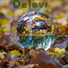 Delavr
