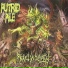 Putrid Pile