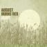 August Burns Red