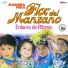 Marimba Flor del Manzano