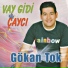 Gökan Tok