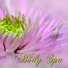 Pure Massage Music