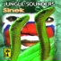 JUNGLE SOUNDERS BAND
