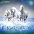 A.G.A.M.A