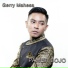 Gerry Mahesa