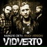 VIDVERTO