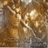 Don Carlos