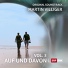 Martin Villiger