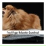 Doggy Calm